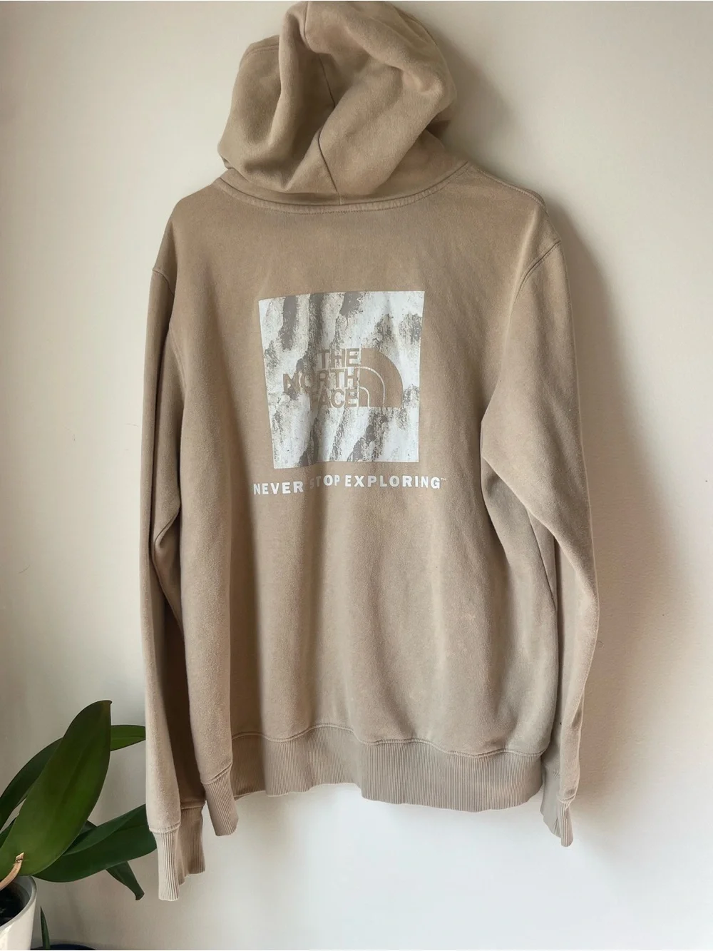 The North Face Men’s Hooded Pullover Sweatshirt - Beige